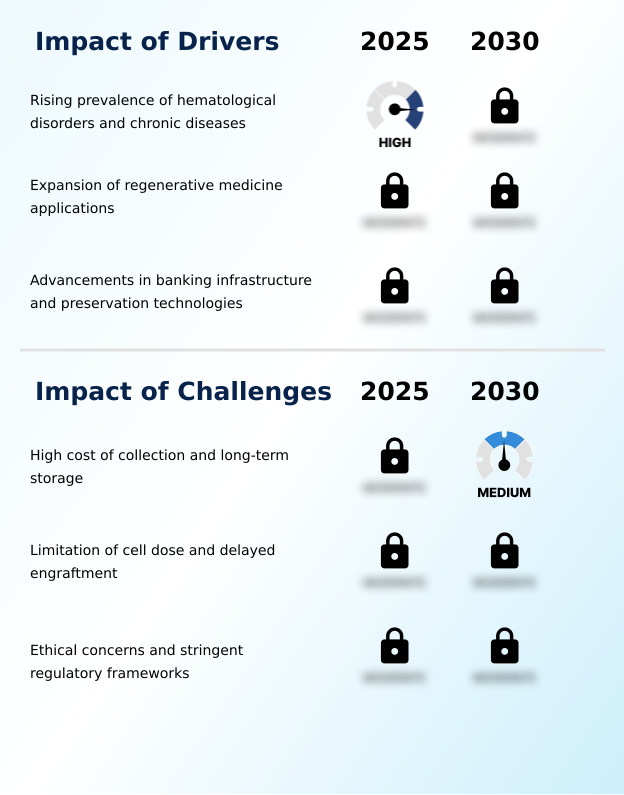 Foundry Equipment Market Size