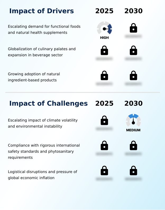 Foundry Equipment Market Size