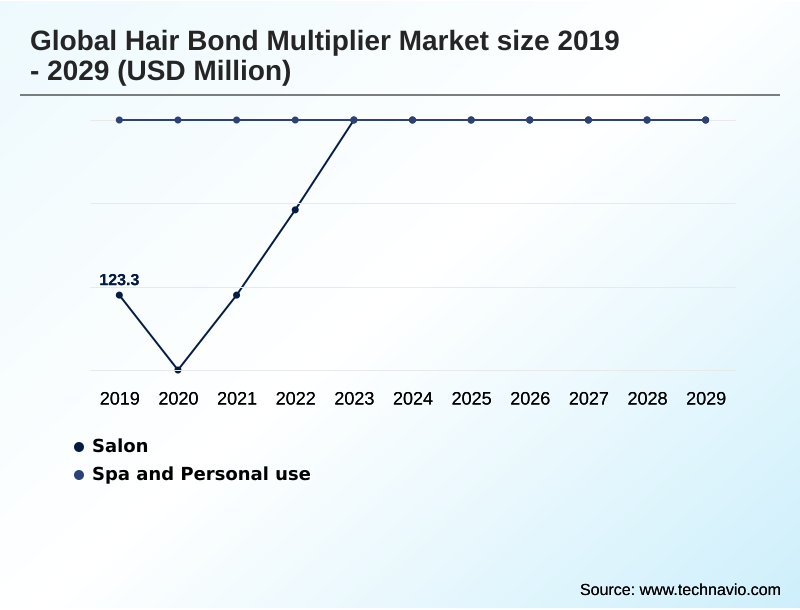Hair Bond Multiplier Market Segmentation