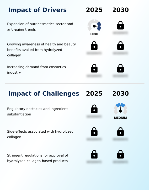 Foundry Equipment Market Size