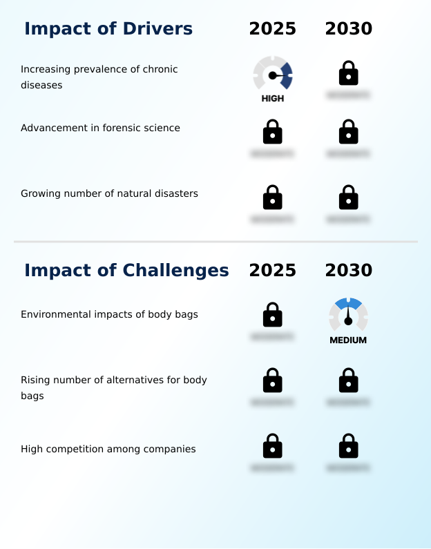 Foundry Equipment Market Size