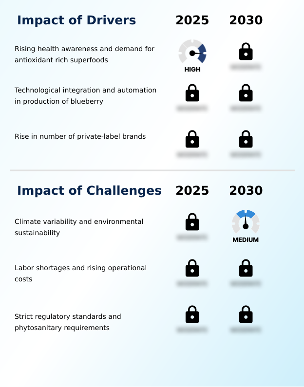 Foundry Equipment Market Size