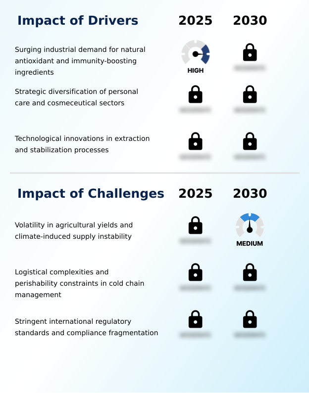 Gooseberry Products Market Analysis, Size, and Forecast 2026-2030: Europe (Germany, UK, and France), APAC (China, India, and Japan), North America (US, Canada, and Mexico), South America (Brazil and Argentina), Middle East and Africa (South Africa, UAE, and Saudi Arabia), and Rest of World (ROW)