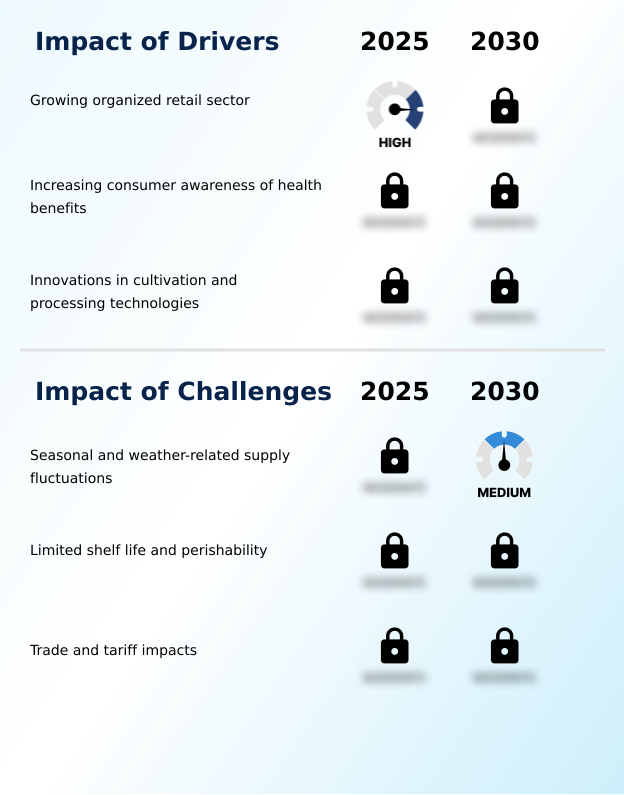 Foundry Equipment Market Size