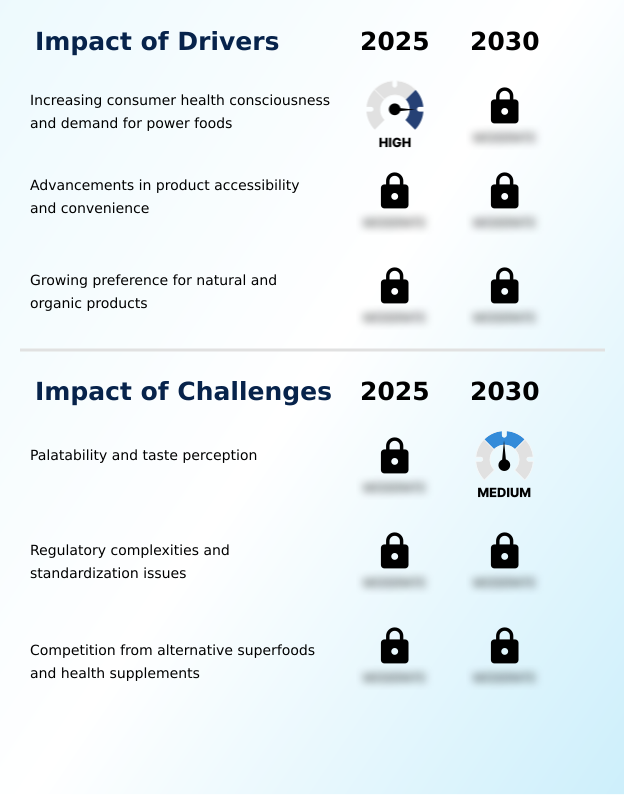 Foundry Equipment Market Size