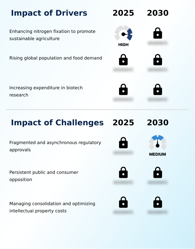 Foundry Equipment Market Size