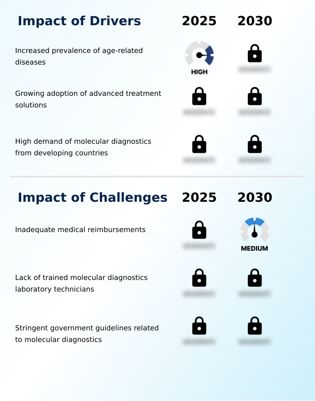 Foundry Equipment Market Size