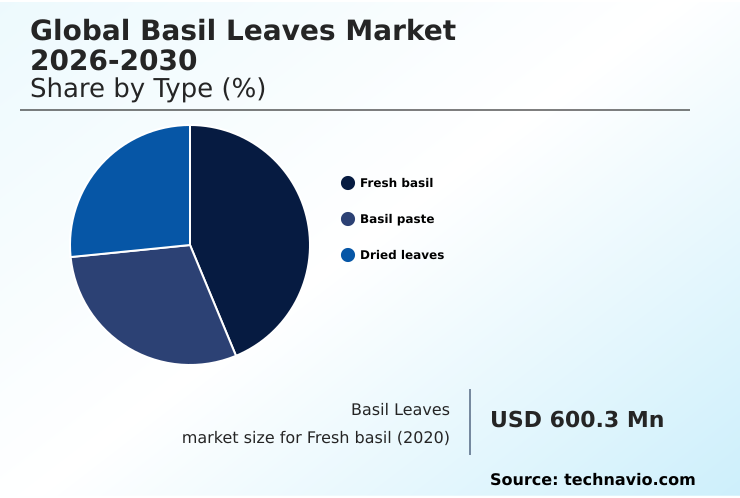 Basil Leaves Market Analysis, Size, and Forecast 2026-2030: Europe (Italy, Spain, and France), North America (US, Canada, and Mexico), APAC (India, China, and Australia), South America (Brazil, Colombia, and Argentina), Middle East and Africa (South Africa, Saudi Arabia, and UAE), and Rest of World (ROW)