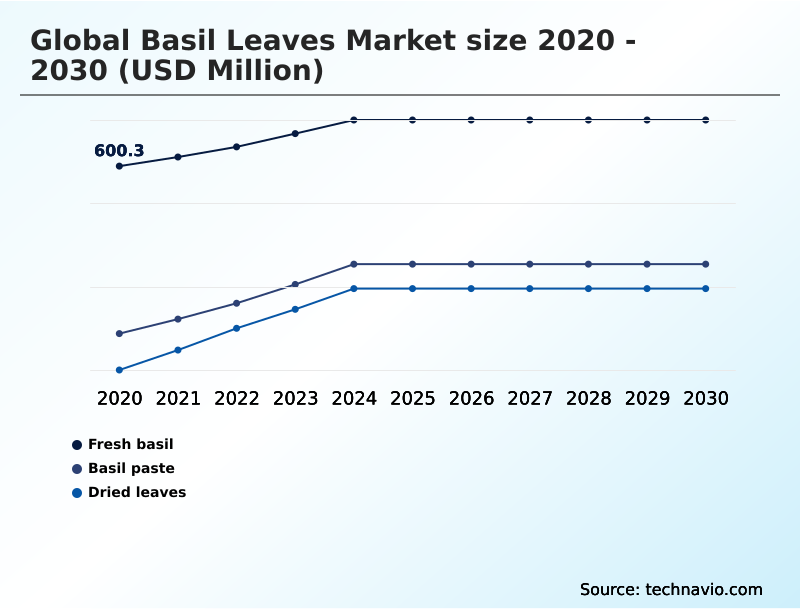 Basil Leaves Market Analysis, Size, and Forecast 2026-2030: Europe (Italy, Spain, and France), North America (US, Canada, and Mexico), APAC (India, China, and Australia), South America (Brazil, Colombia, and Argentina), Middle East and Africa (South Africa, Saudi Arabia, and UAE), and Rest of World (ROW)