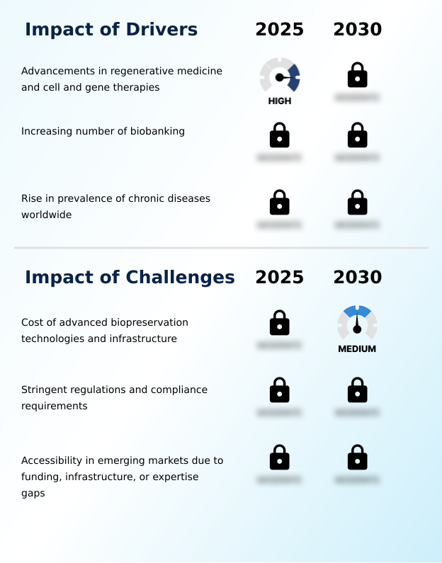 Foundry Equipment Market Size