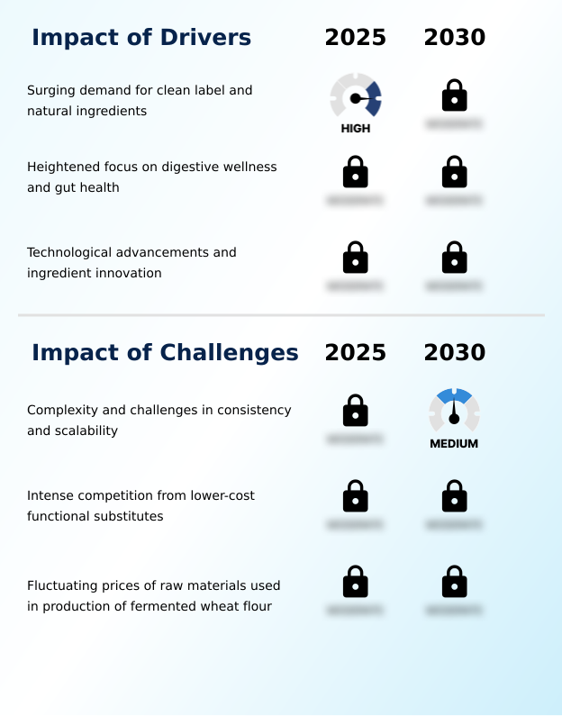 Foundry Equipment Market Size