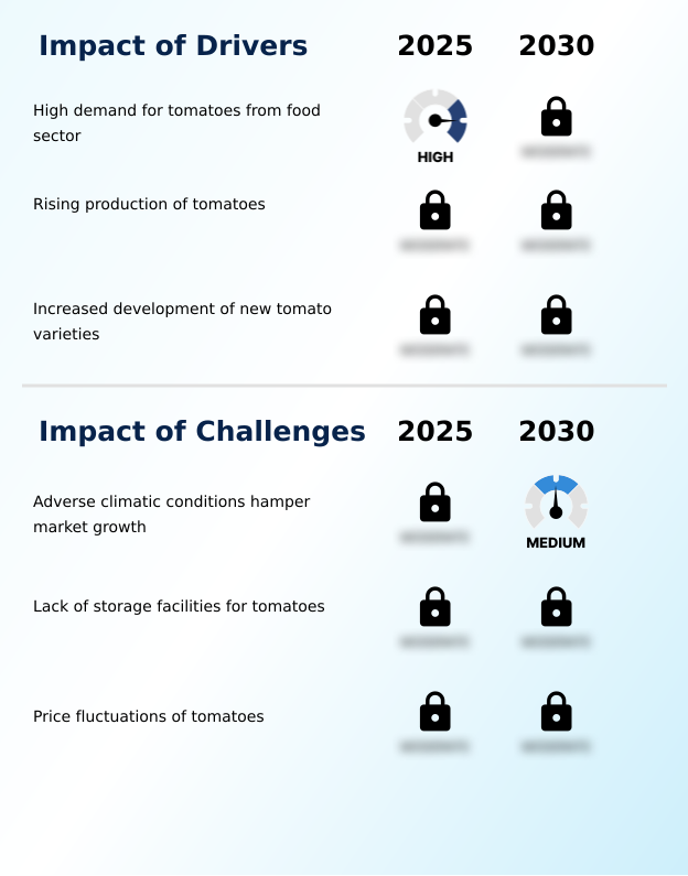 Foundry Equipment Market Size