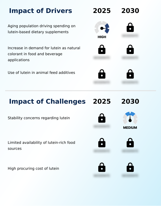 Foundry Equipment Market Size