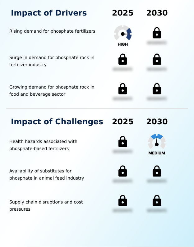 Phosphate Rock Market Analysis, Size, and Forecast 2026-2030: APAC (China, Japan, and India), North America (US, Canada, and Mexico), Europe (Germany, UK, and France), South America (Brazil and Argentina), Middle East and Africa (Saudi Arabia, Israel, and UAE), and Rest of World (ROW)