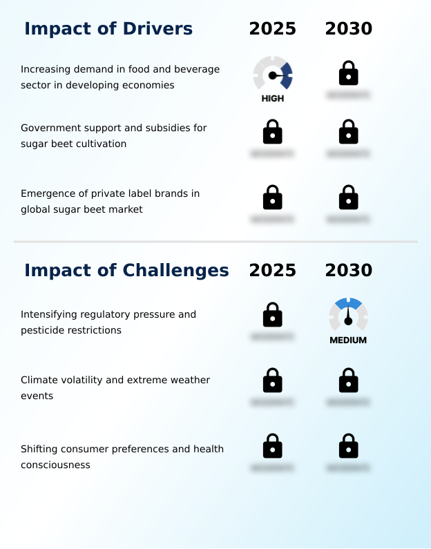 Foundry Equipment Market Size