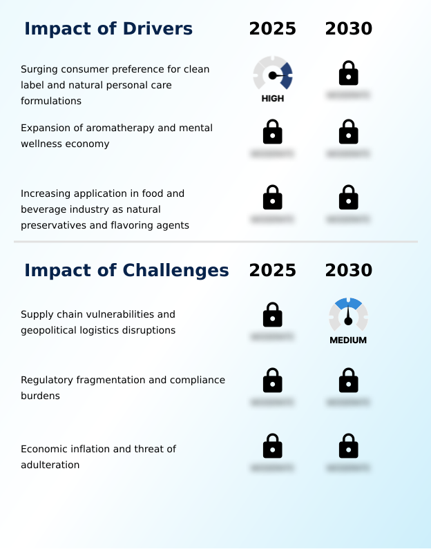 Foundry Equipment Market Size