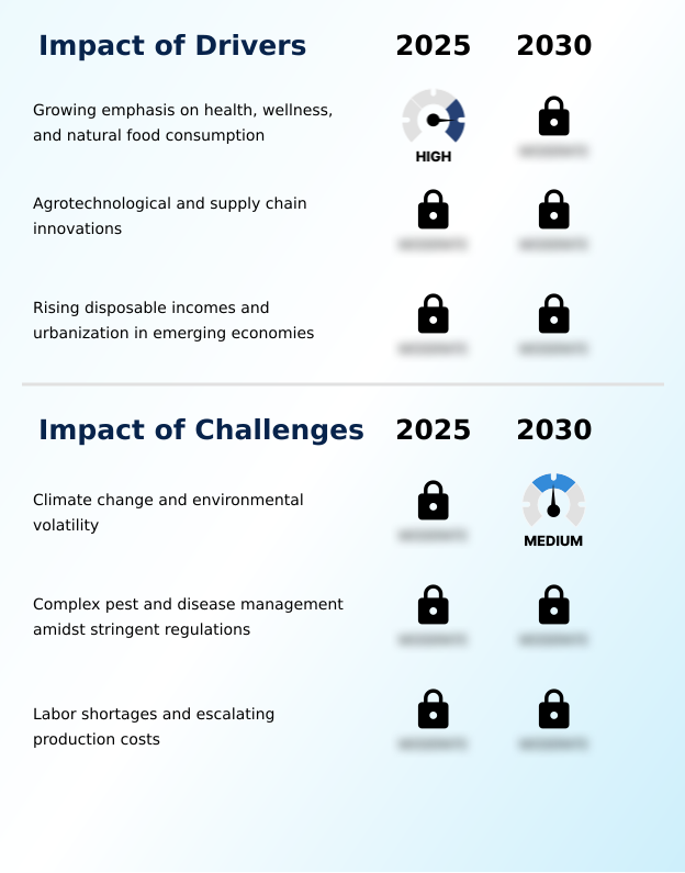 Foundry Equipment Market Size