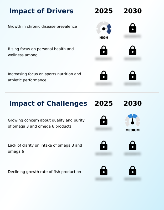 Foundry Equipment Market Size