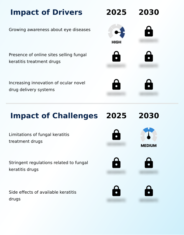 Foundry Equipment Market Size