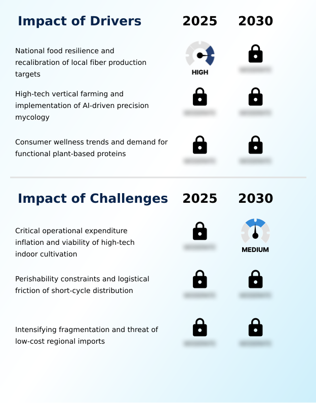 Foundry Equipment Market Size