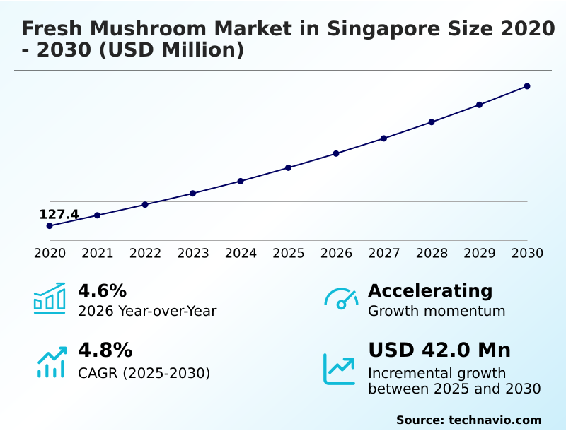 Foundry Equipment Market Size