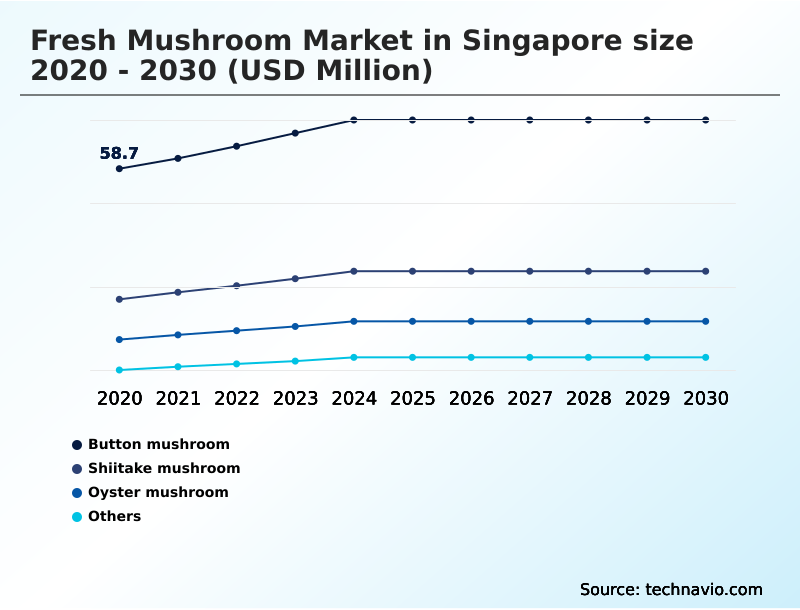 Foundry Equipment Market Size