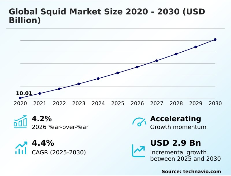 Squid Market Analysis, Size, and Forecast 2026-2030: APAC (China, Japan, and India), Europe (Spain, Italy, and France), North America (US, Canada, and Mexico), South America (Argentina), Middle East and Africa (South Africa, Turkey, and Saudi Arabia), and Rest of World (ROW)