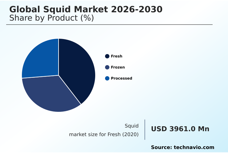 Squid Market Analysis, Size, and Forecast 2026-2030: APAC (China, Japan, and India), Europe (Spain, Italy, and France), North America (US, Canada, and Mexico), South America (Argentina), Middle East and Africa (South Africa, Turkey, and Saudi Arabia), and Rest of World (ROW)