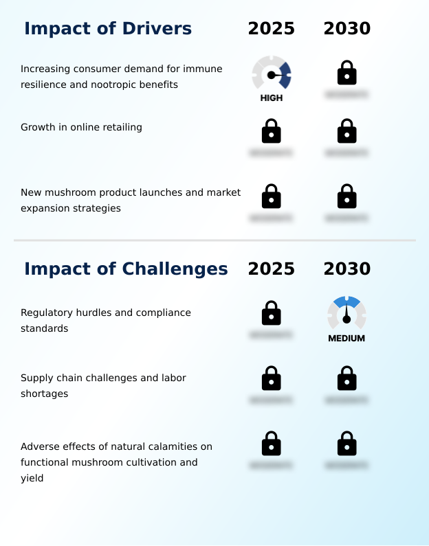 Foundry Equipment Market Size