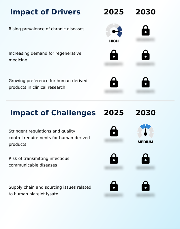 Foundry Equipment Market Size
