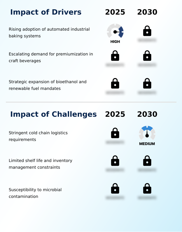 Foundry Equipment Market Size