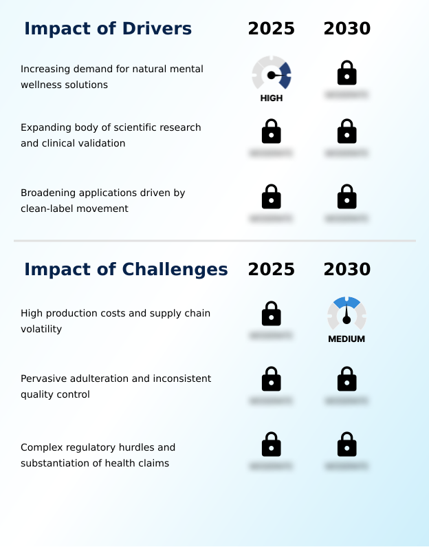 Foundry Equipment Market Size