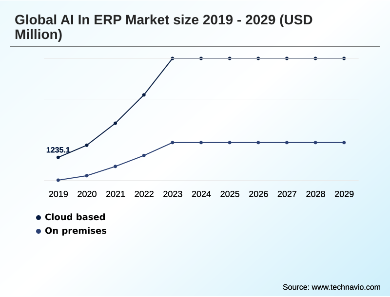 AI In ERP Market Segmentation