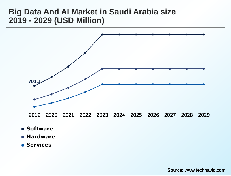 Saudi Arabia Big Data And AI Market Segmentation