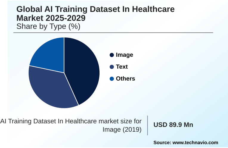 AI Training Dataset In Healthcare Market Market segmentation by region