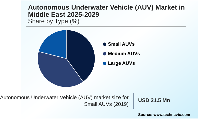 Middle East Autonomous Underwater Vehicle (AUV) Market Market segmentation by region