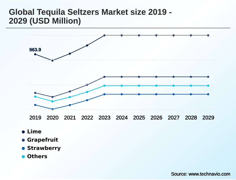 Tequila Seltzers Market Segmentation