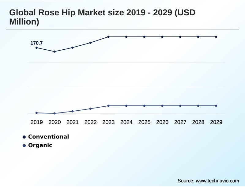 Rose Hip Market Segmentation