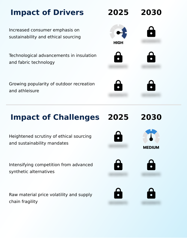 Foundry Equipment Market Size