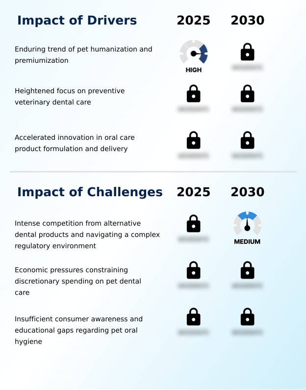 Foundry Equipment Market Size