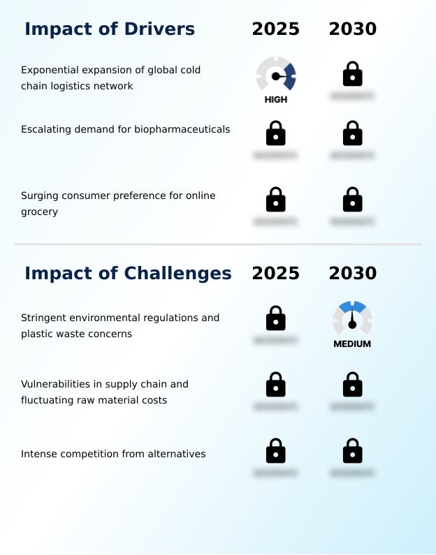 Gel Packs Market Analysis, Size, and Forecast 2026-2030: North America (US, Canada, and Mexico), Europe (Germany, UK, and France), APAC (China, Japan, and India), South America (Brazil), Middle East and Africa (South Africa, UAE, and Saudi Arabia), Asia, Rest of World (ROW)