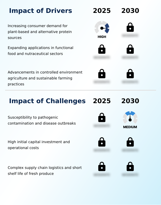 Edible Fungi Market Analysis, Size, and Forecast 2026-2030: Europe (Germany, France, and UK), APAC (China, Japan, and India), North America (US, Canada, and Mexico), South America (Brazil, Argentina, and Colombia), Middle East and Africa (South Africa, Saudi Arabia, and UAE), and Rest of World (ROW)