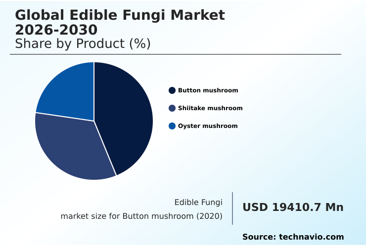 Edible Fungi Market Analysis, Size, and Forecast 2026-2030: Europe (Germany, France, and UK), APAC (China, Japan, and India), North America (US, Canada, and Mexico), South America (Brazil, Argentina, and Colombia), Middle East and Africa (South Africa, Saudi Arabia, and UAE), and Rest of World (ROW)