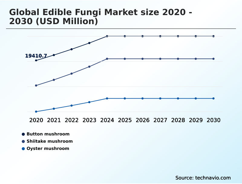 Edible Fungi Market Analysis, Size, and Forecast 2026-2030: Europe (Germany, France, and UK), APAC (China, Japan, and India), North America (US, Canada, and Mexico), South America (Brazil, Argentina, and Colombia), Middle East and Africa (South Africa, Saudi Arabia, and UAE), and Rest of World (ROW)
