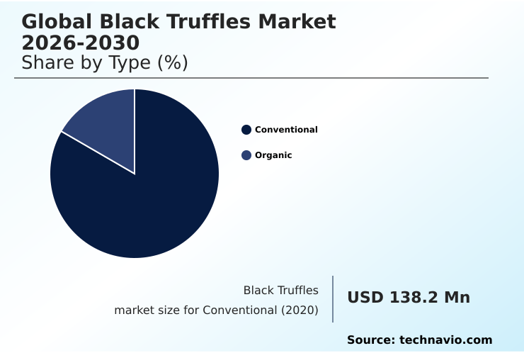 Black Truffles Market Analysis, Size, and Forecast 2026-2030: Europe (Spain, France, and Italy), North America (US, Canada, and Mexico), APAC (China, Japan, and Australia), South America (Brazil, Argentina, and Colombia), Middle East and Africa (UAE, Saudi Arabia, and South Africa), and Rest of World (ROW)